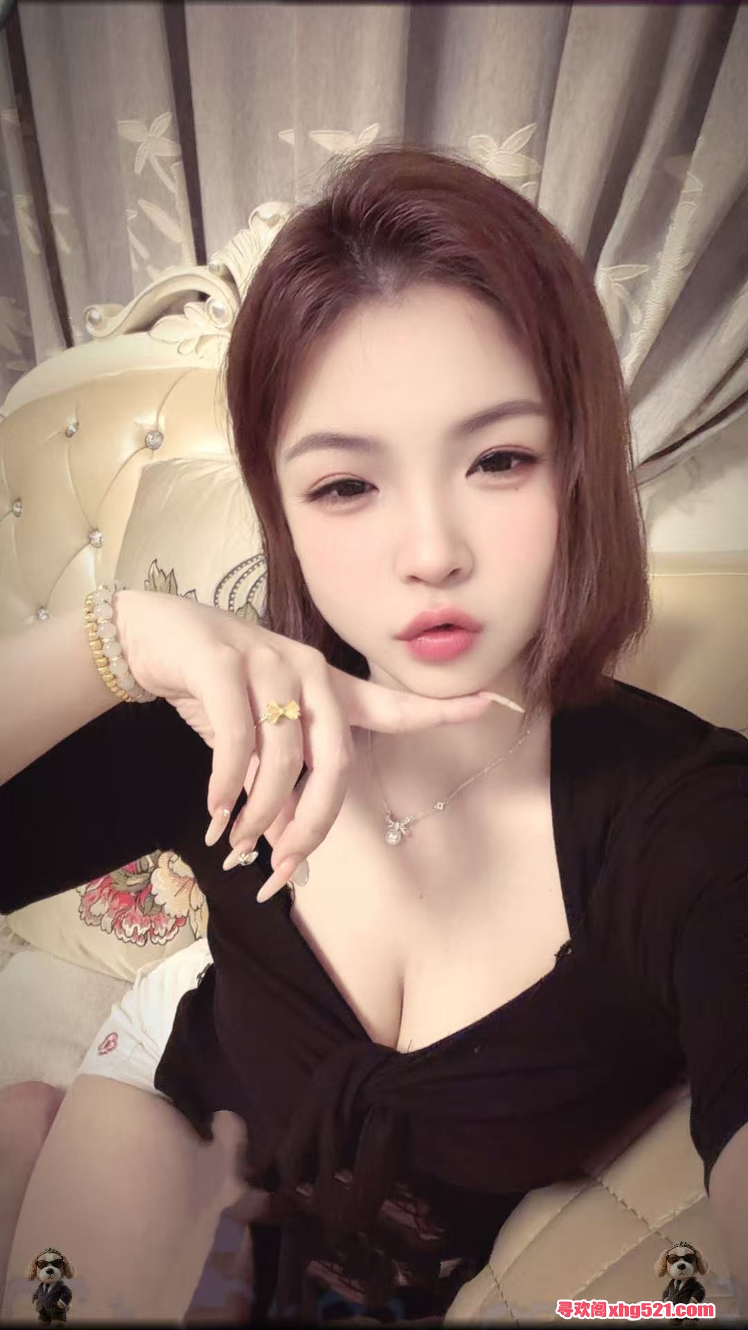 213948vh288hsswlvqhgbf.jpg